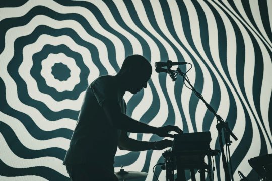 Caribou